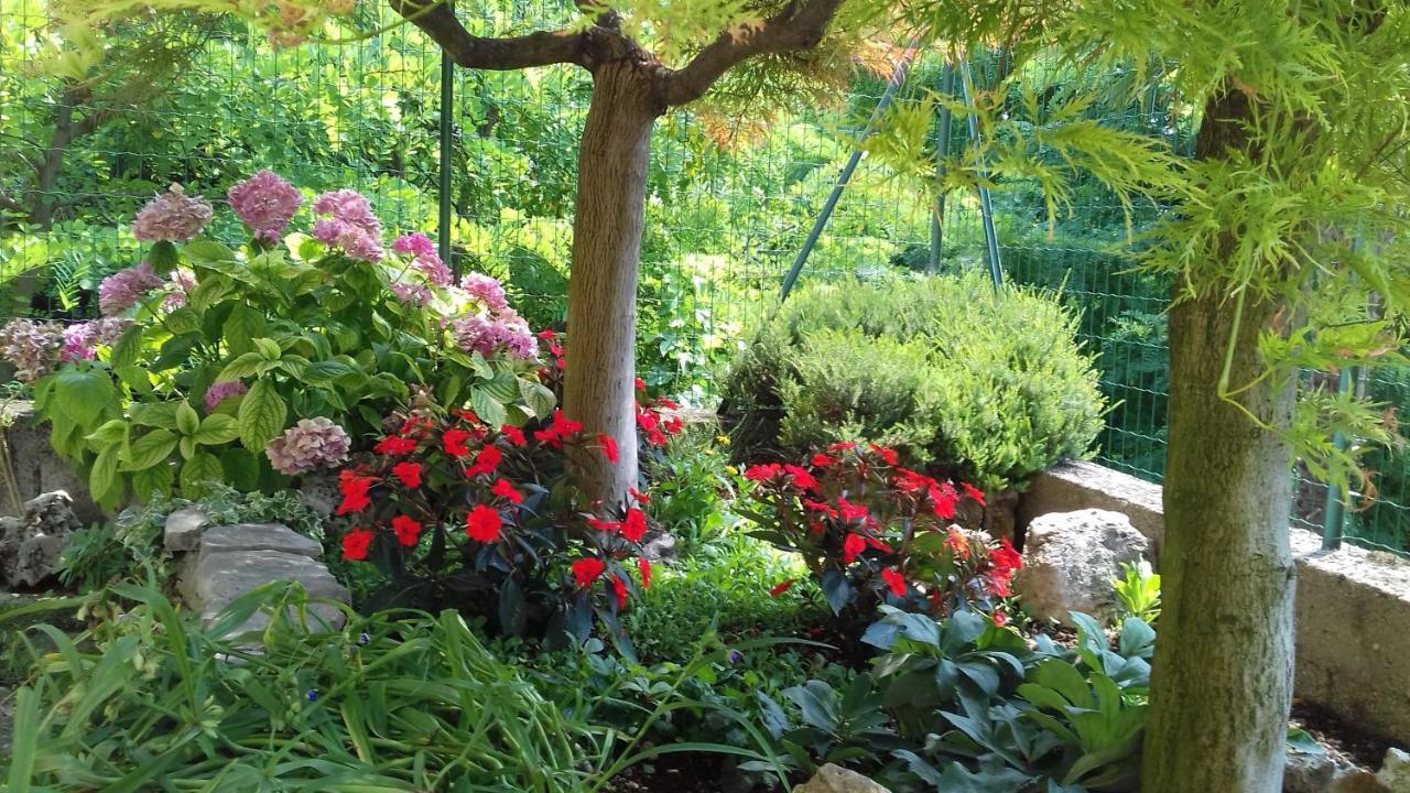 B&B Ca Di Me Premariacco Zewnętrze zdjęcie